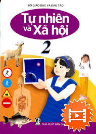 Bài 24: Chăm sóc, bảo vệ cơ quan hô hấp (tiết 1)